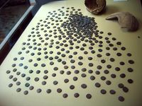 FIG. 2 - Le monete in bronzo di Et&agrave; Ellenistica e di Et&agrave; Romana